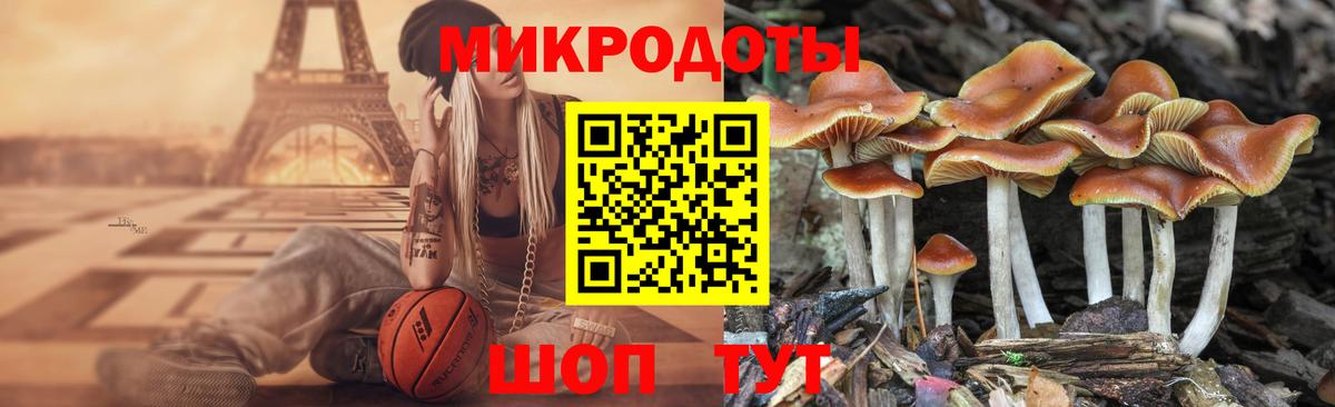 Тихвин  Псилоцибиновые грибы MAGIC MUSHROOMS  Псилоцибиновые грибы мицелий  Вход с VPN 
